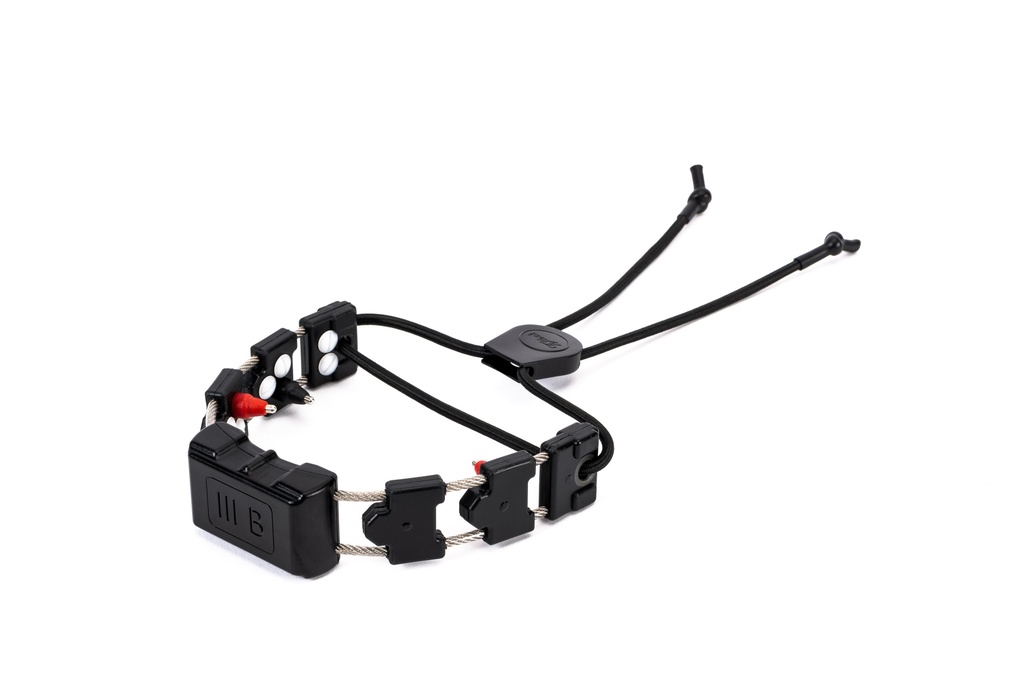 Best e collars sales
